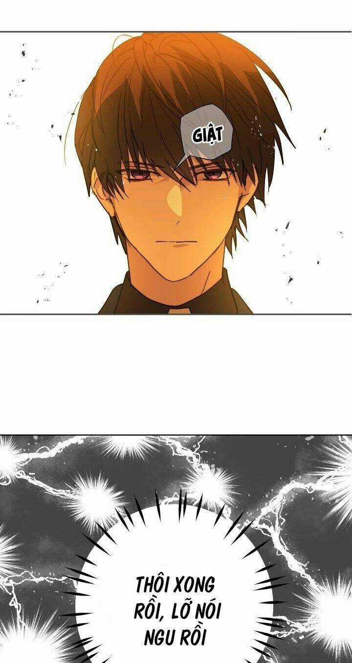 Lời Thú Nhận Nhầm Lẫn Chapter 41 trang 15