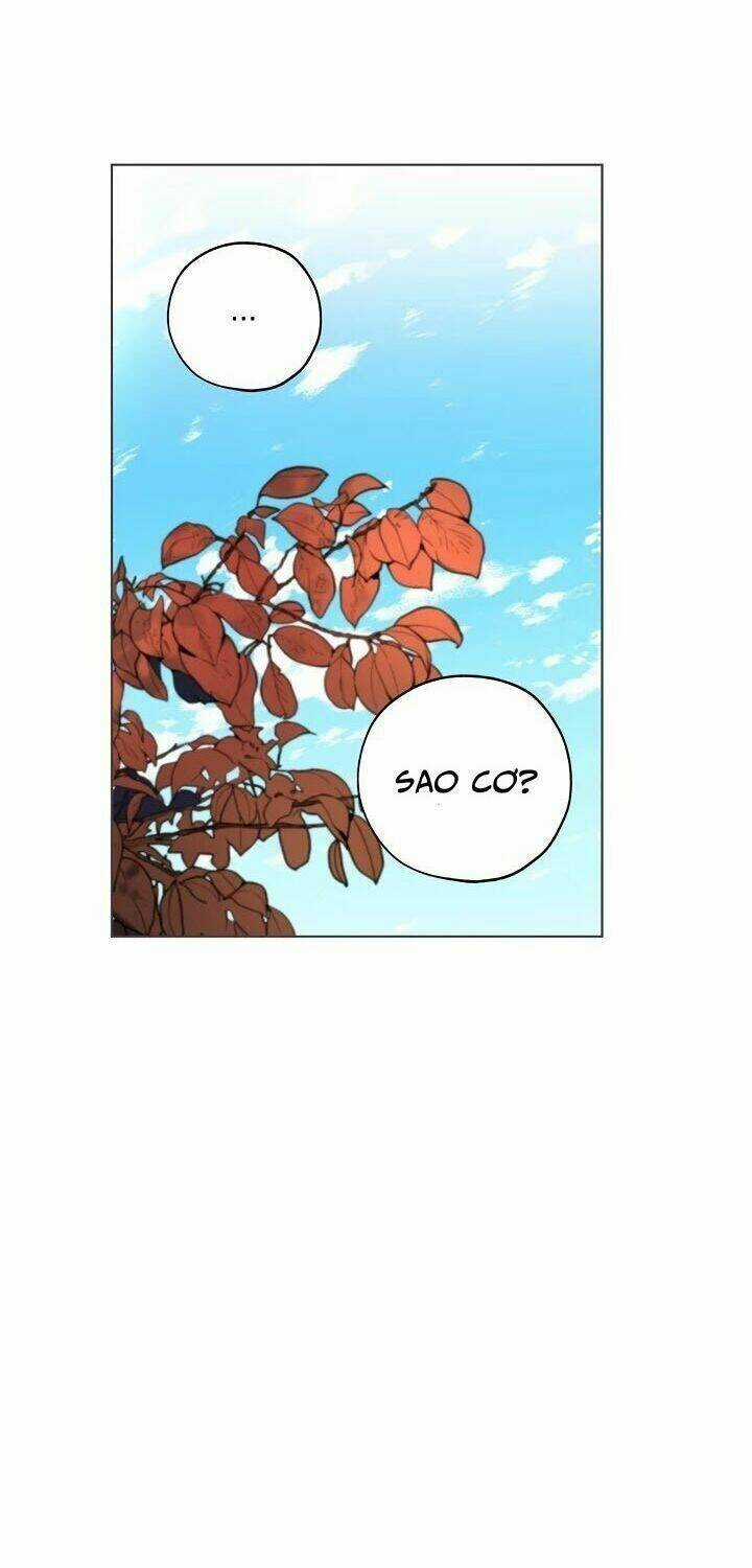 Lời Thú Nhận Nhầm Lẫn Chapter 42 trang 17