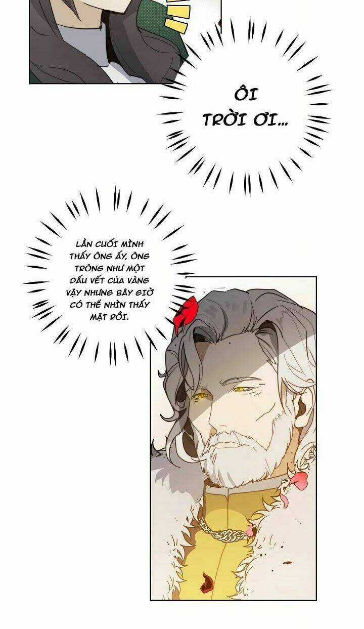 Lời Thú Nhận Nhầm Lẫn Chapter 44 trang 11