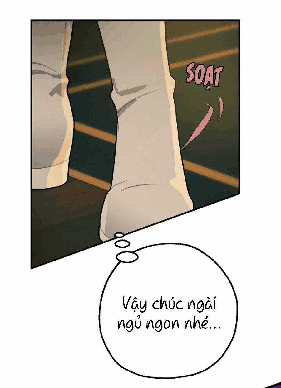 Lời Thú Nhận Nhầm Lẫn Chapter 51 trang 61