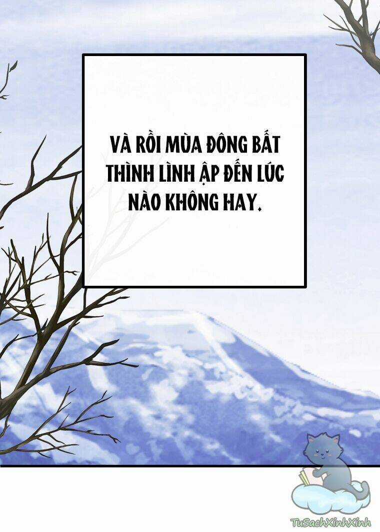 Lời Thú Nhận Nhầm Lẫn Chapter 52 trang 17