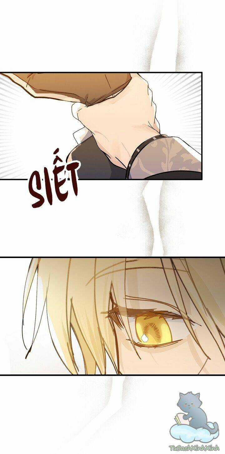 Lời Thú Nhận Nhầm Lẫn Chapter 54 trang 21