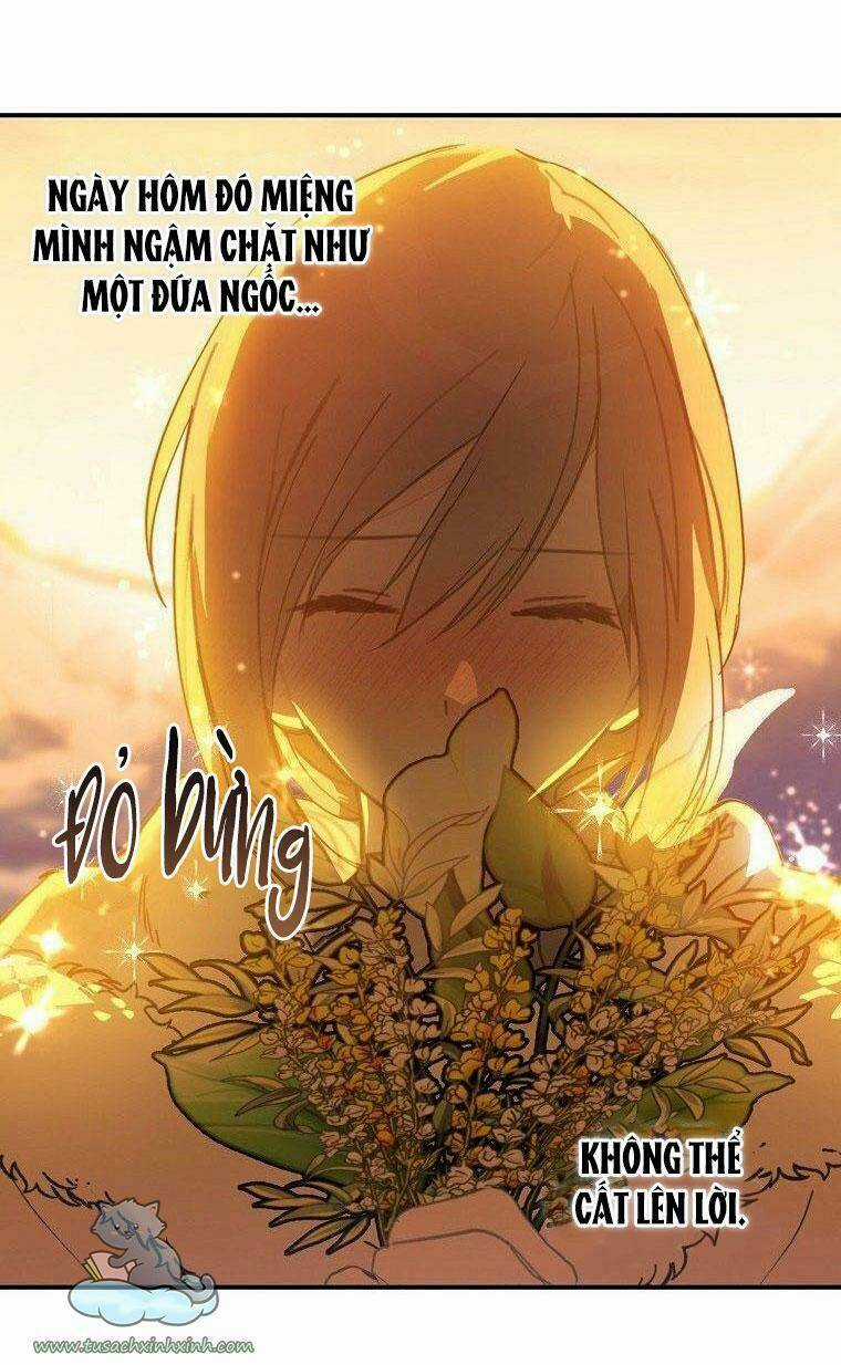 Lời Thú Nhận Nhầm Lẫn Chapter 56 trang 42