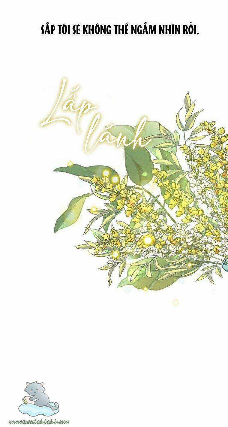 Lời Thú Nhận Nhầm Lẫn Chapter 56 trang 47