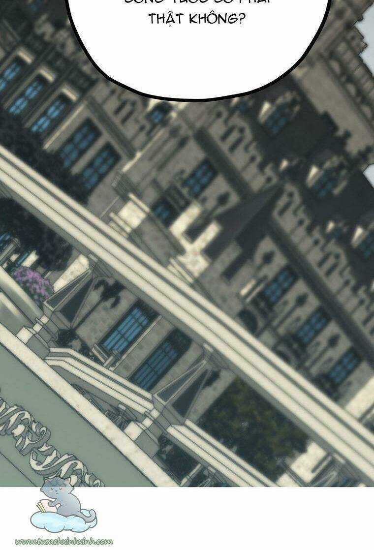 Lời Thú Nhận Nhầm Lẫn Chapter 57 trang 11