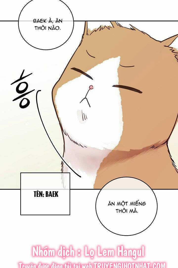 Lời Thú Tội Bí Ẩn Chapter 28 trang 23