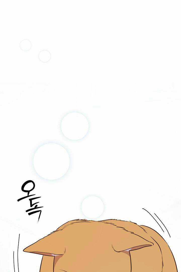 Lời Thú Tội Bí Ẩn Chapter 29 trang 16