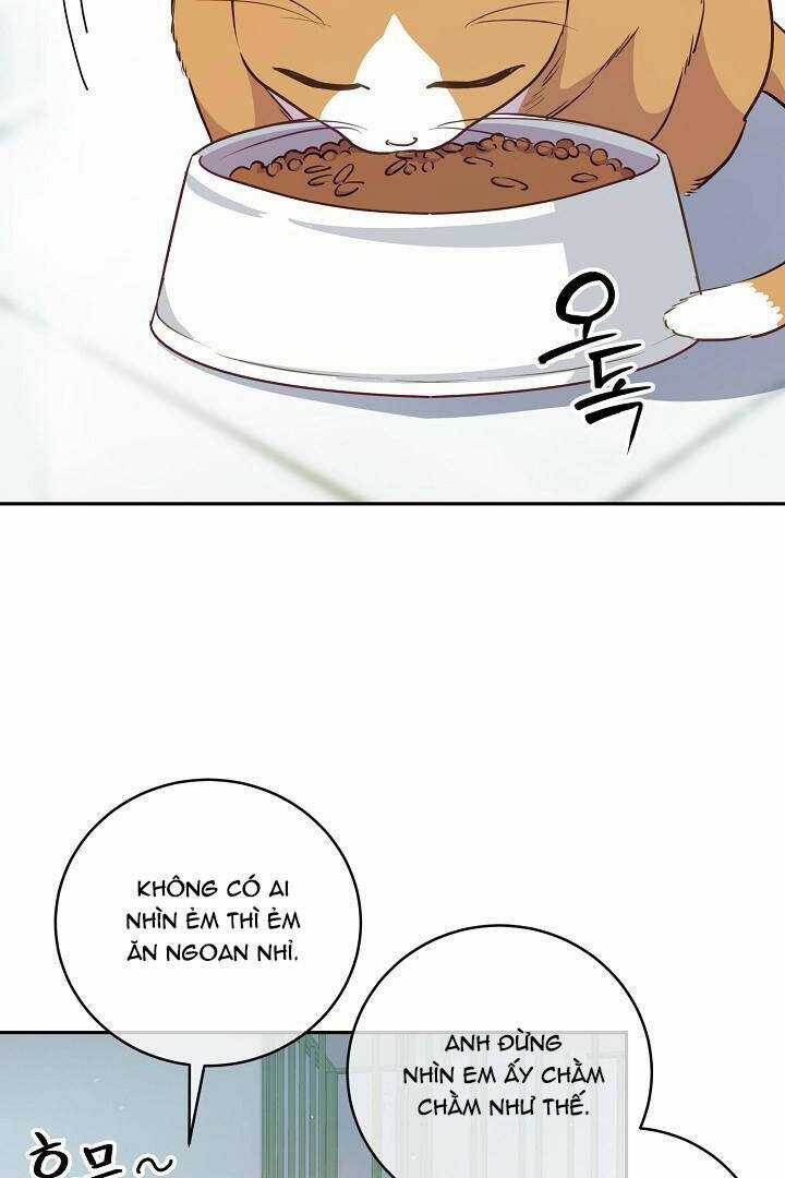 Lời Thú Tội Bí Ẩn Chapter 29 trang 17