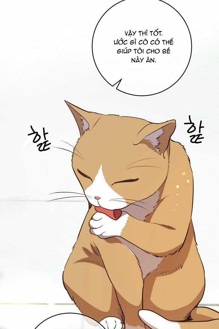 Lời Thú Tội Bí Ẩn Chapter 29 trang 7