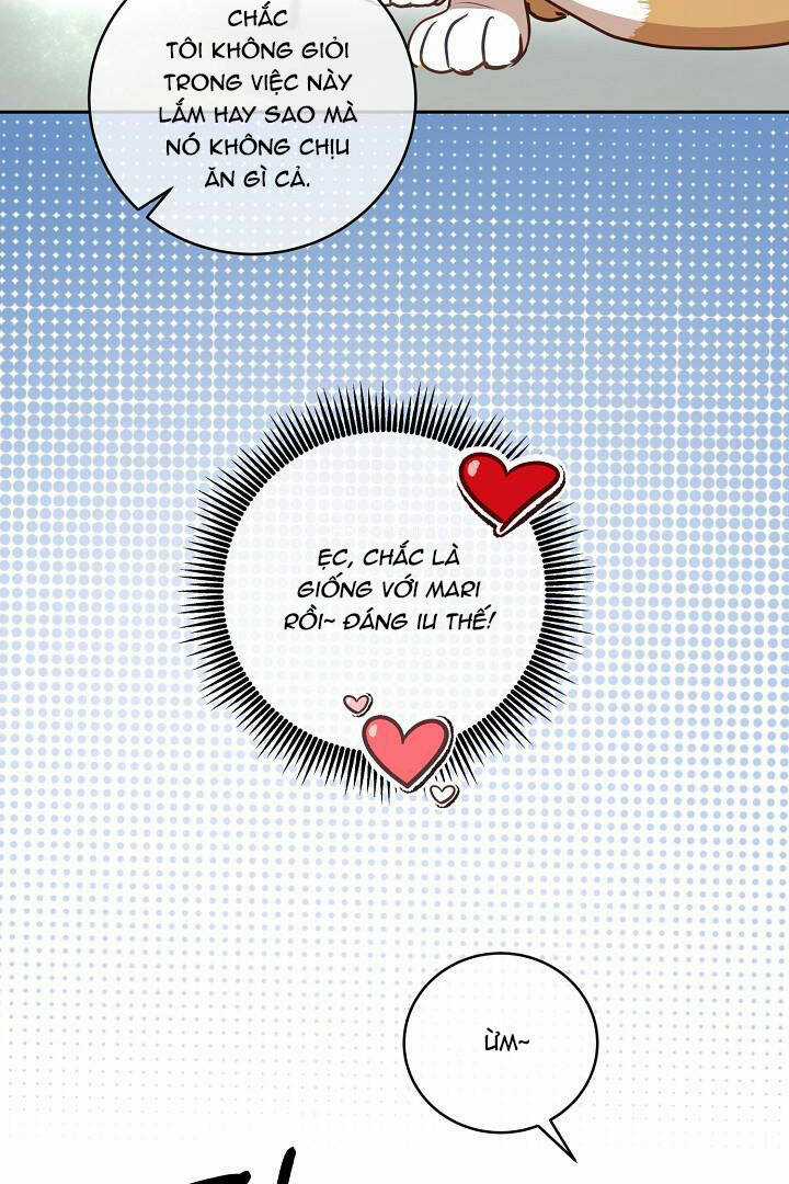 Lời Thú Tội Bí Ẩn Chapter 29 trang 8