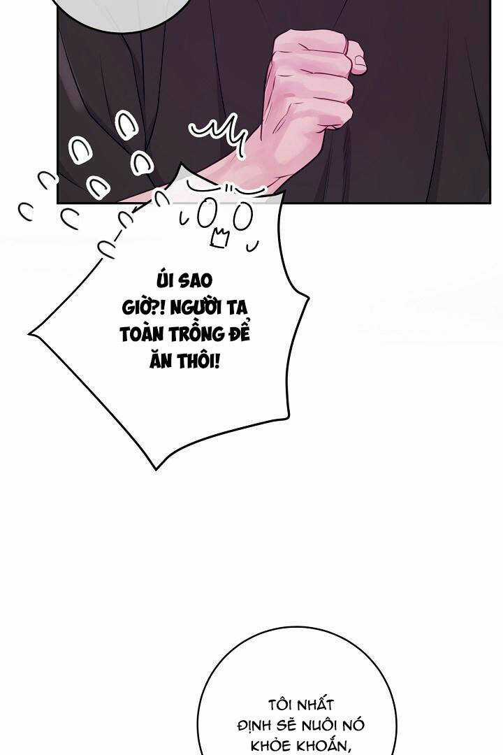 Lời Thú Tội Bí Ẩn Chapter 44 trang 13