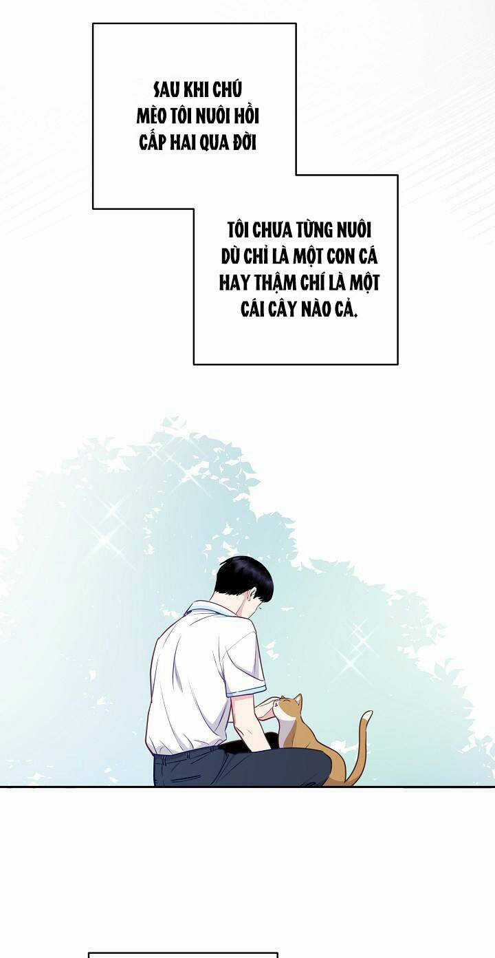 Lời Thú Tội Bí Ẩn Chapter 44 trang 25