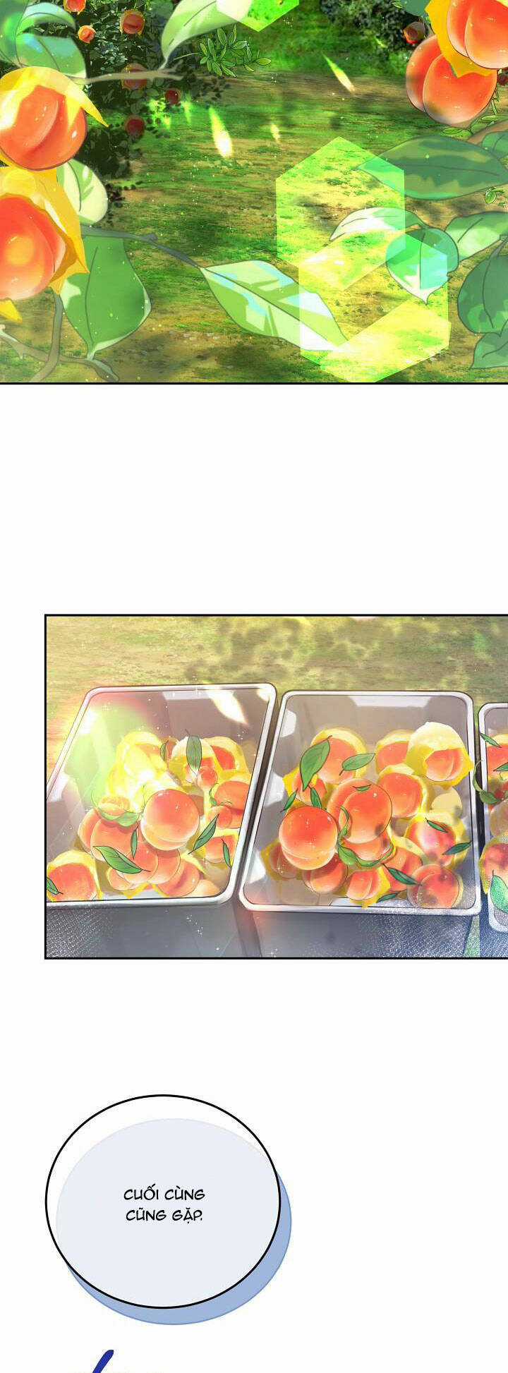 Lời Thú Tội Bí Ẩn Chapter 80 trang 24