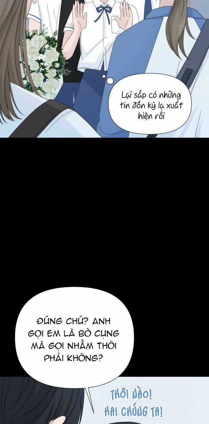 Lời Tỏ Tình Đi Lạc Chapter 4 trang 12