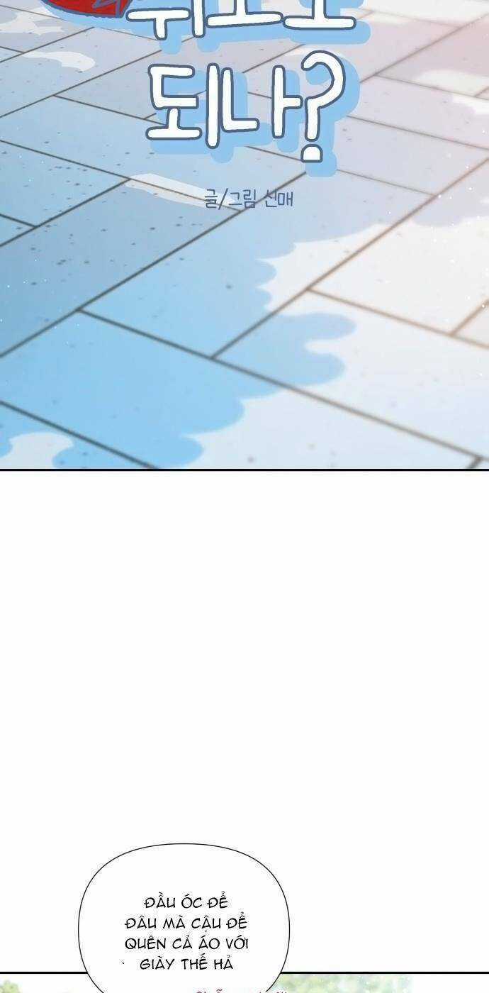 Lời Tỏ Tình Đi Lạc Chapter 42 trang 6