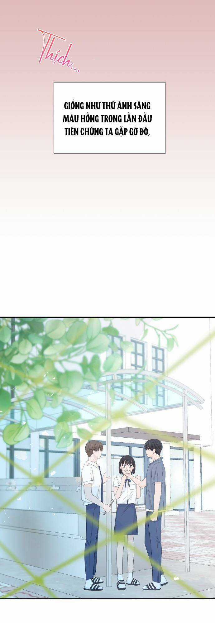 Lời Tỏ Tình Đi Lạc Chapter 5 trang 8