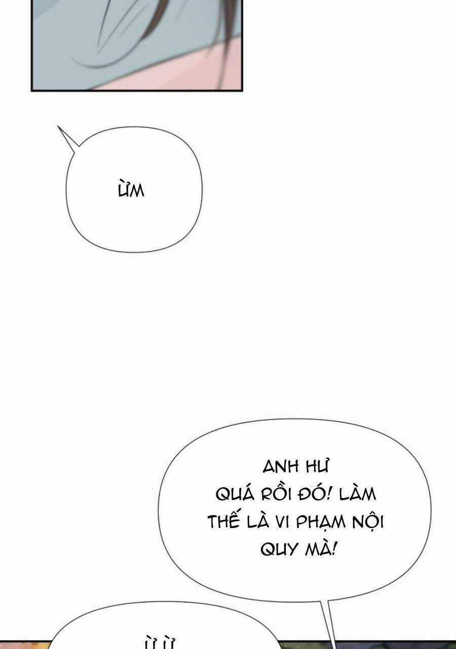 Lời Tỏ Tình Đi Lạc Chapter 52 trang 31