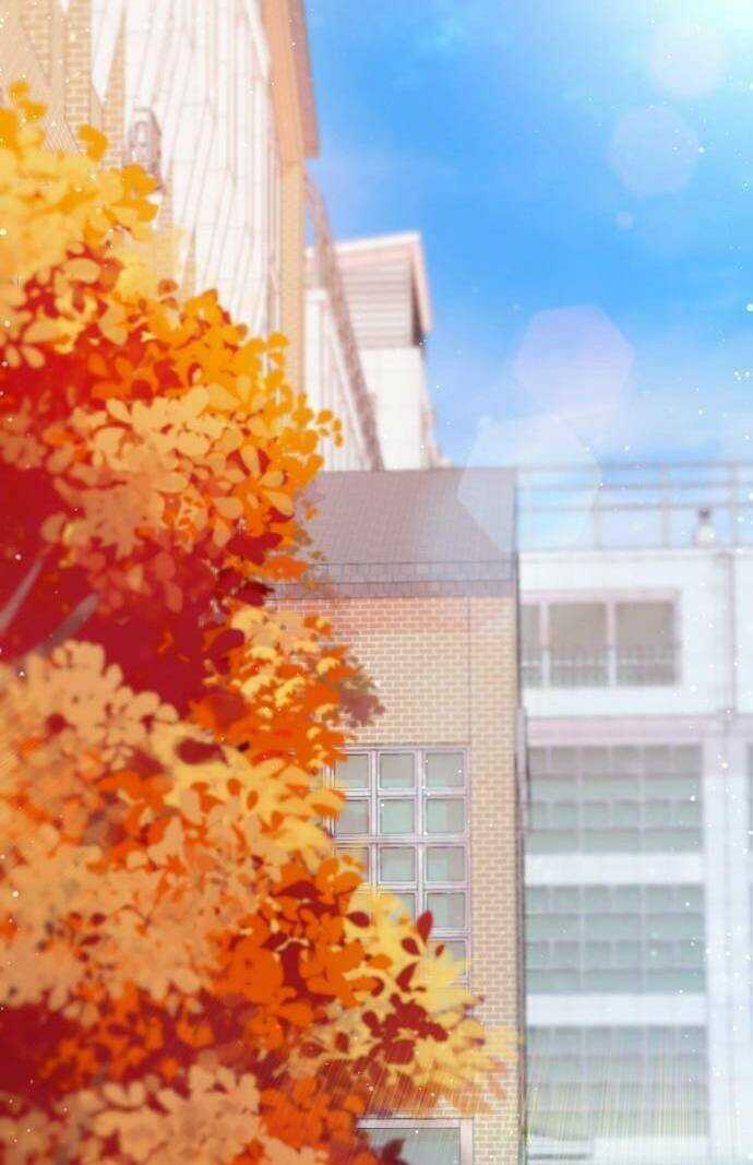 Lời Tỏ Tình Đi Lạc Chapter 55 trang 52