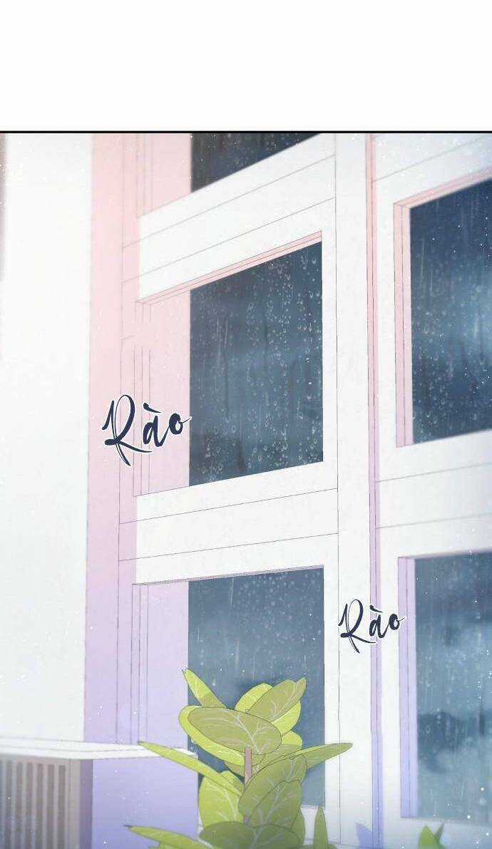 Lời Tỏ Tình Đi Lạc Chapter 56 trang 17