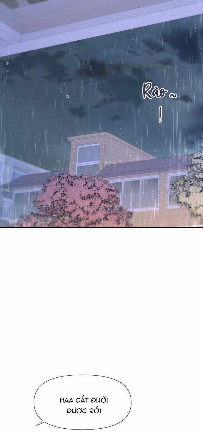 Lời Tỏ Tình Đi Lạc Chapter 56 trang 44