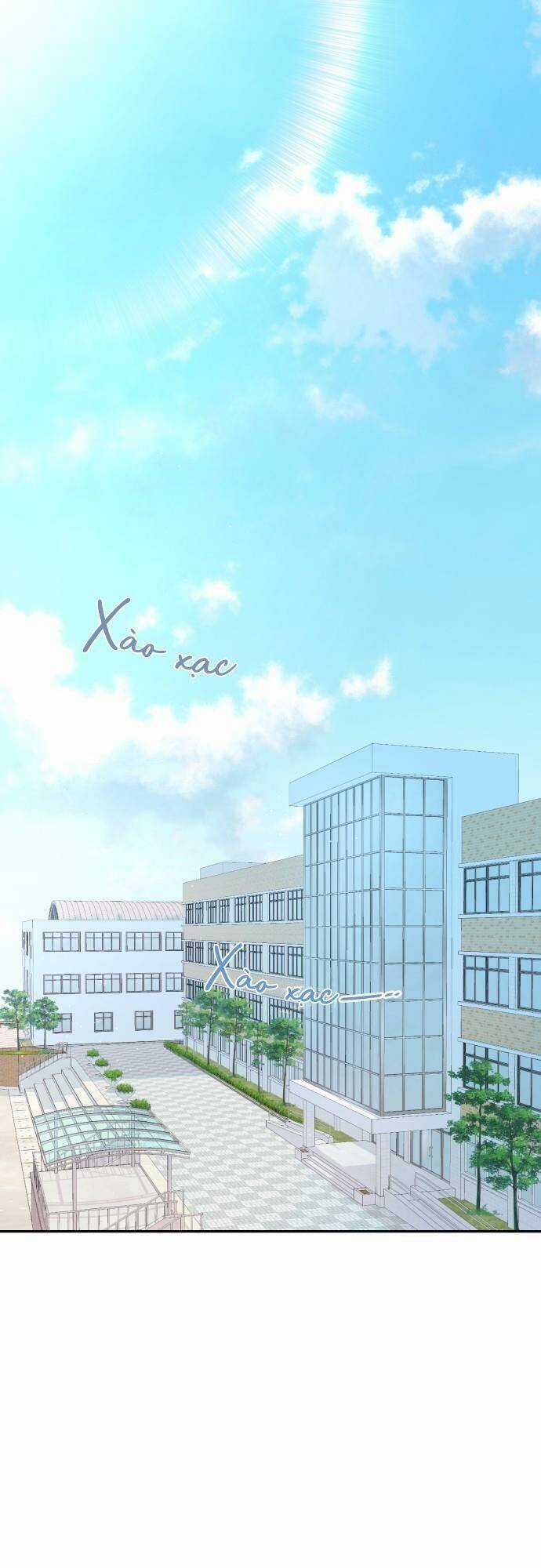 Lời Tỏ Tình Đi Lạc Chapter 8 trang 1