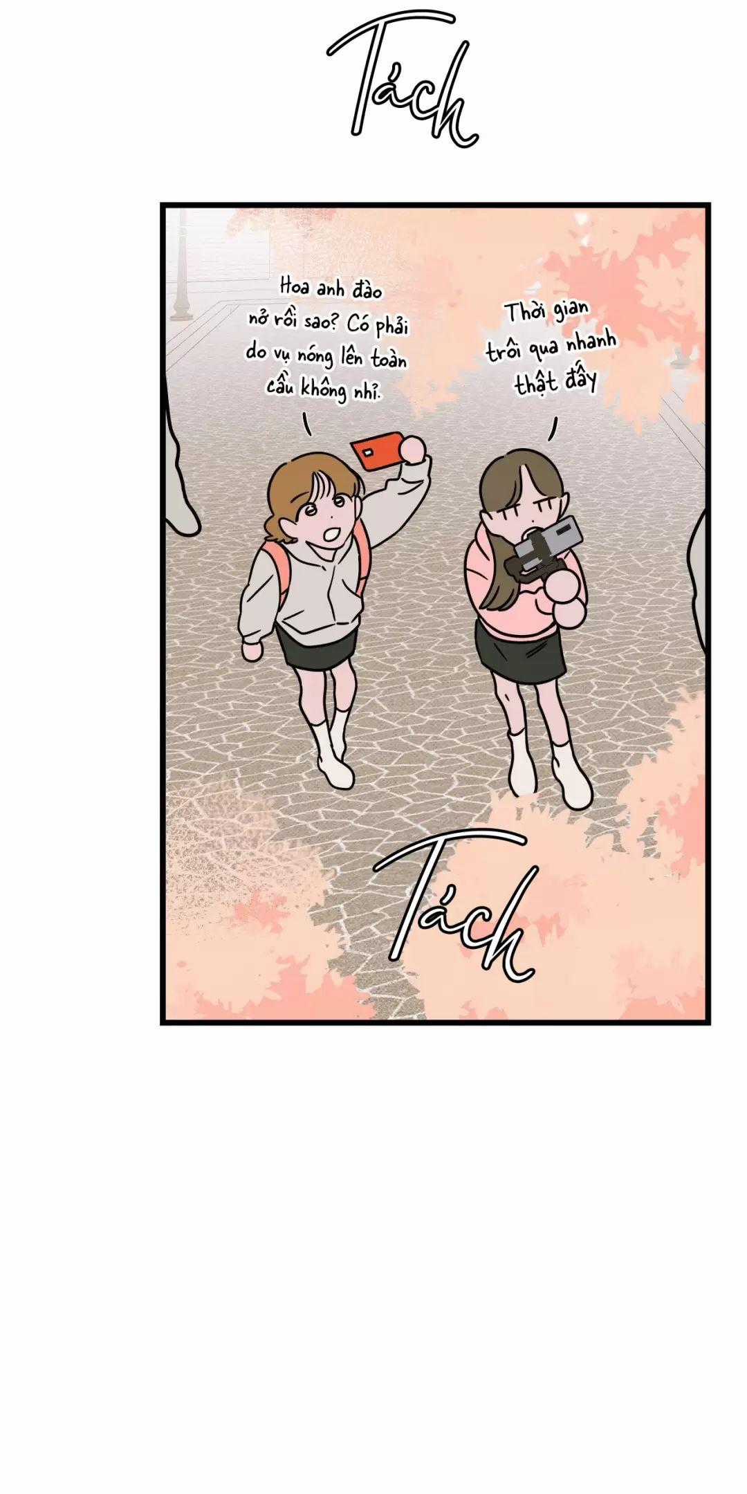 Lời Tỏ Tình Từ Con Số 0 Chapter 13 trang 1