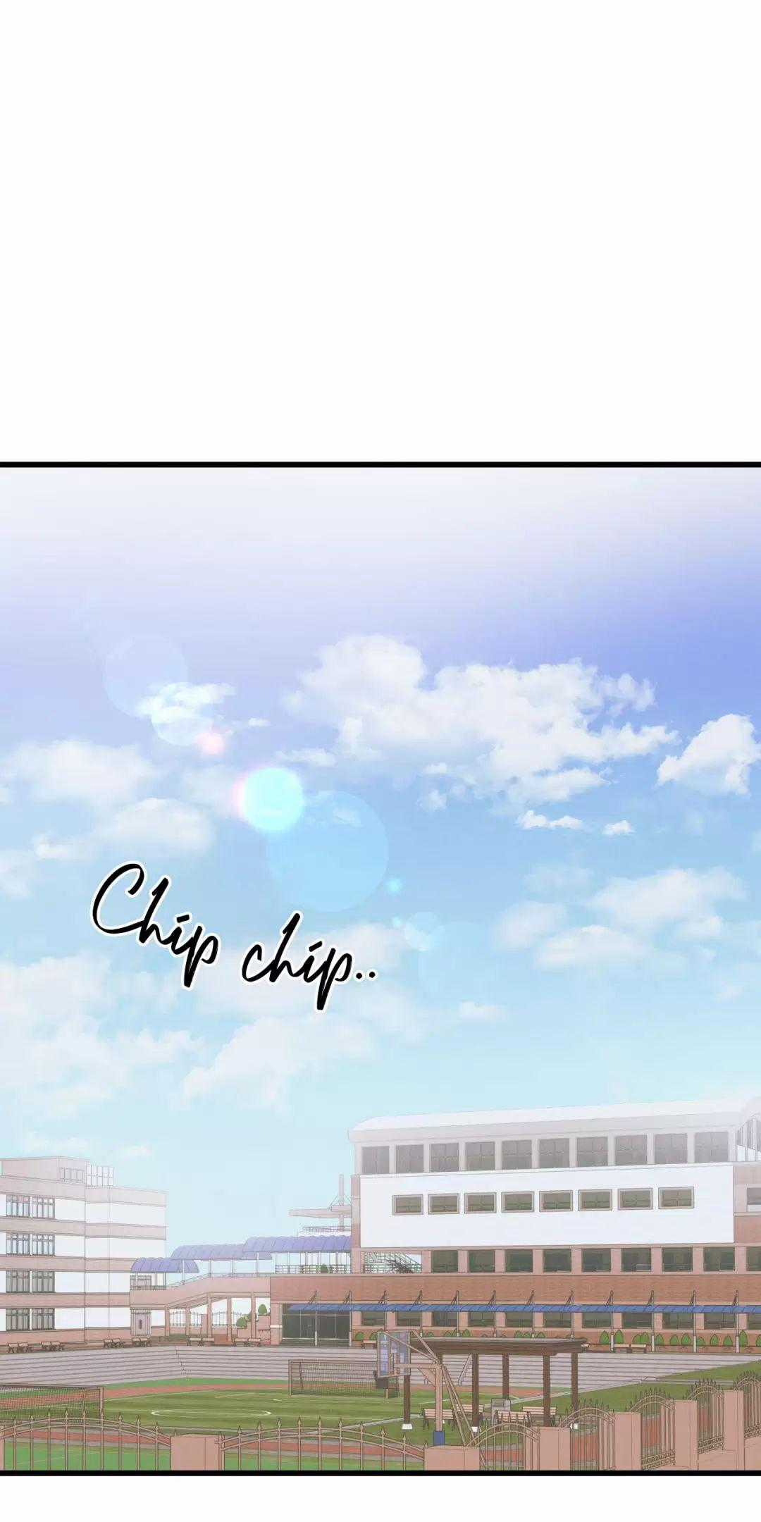 Lời Tỏ Tình Từ Con Số 0 Chapter 8 trang 0