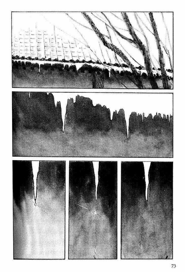 Lone Wolf And Cub Chapter 113 trang 5