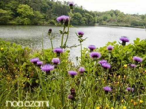 Lone Wolf And Cub Chapter 82 trang 60