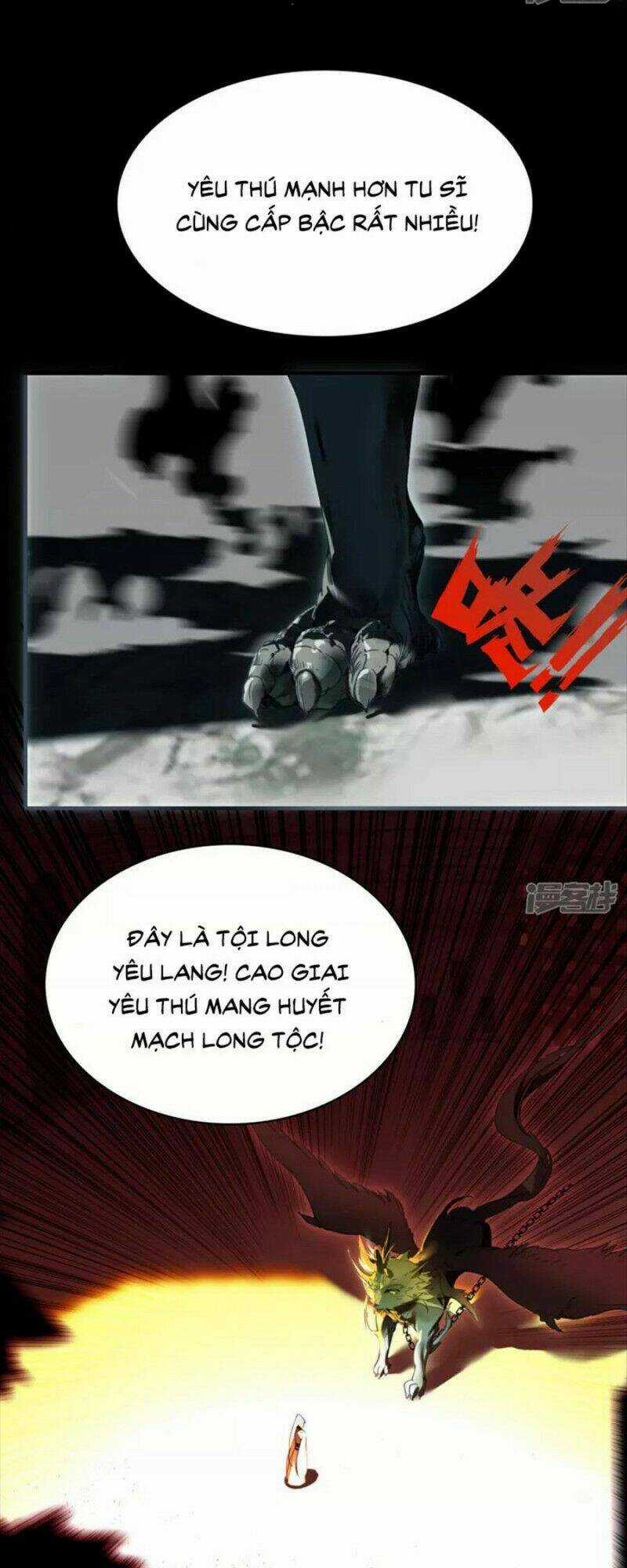 Long Hồn Chiến Tôn Chapter 13 trang 12