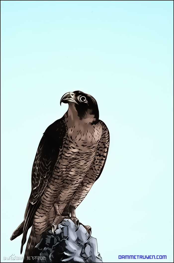 Long Phi Bất Bại 2 Chapter 14 trang 18