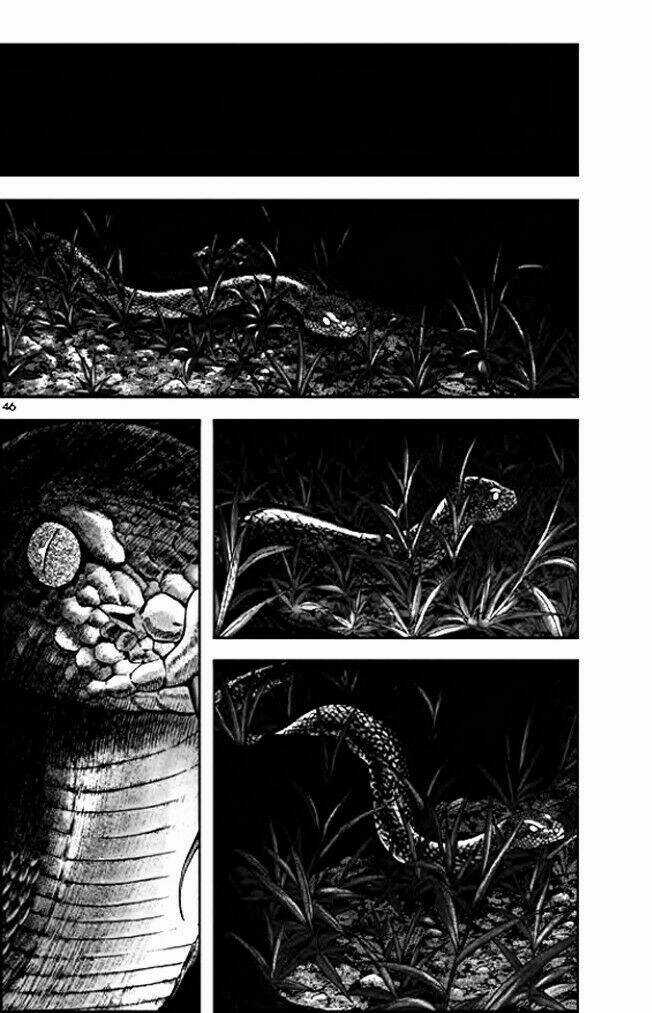 Long Phi Bất Bại Phần 2 Chapter 8 trang 15