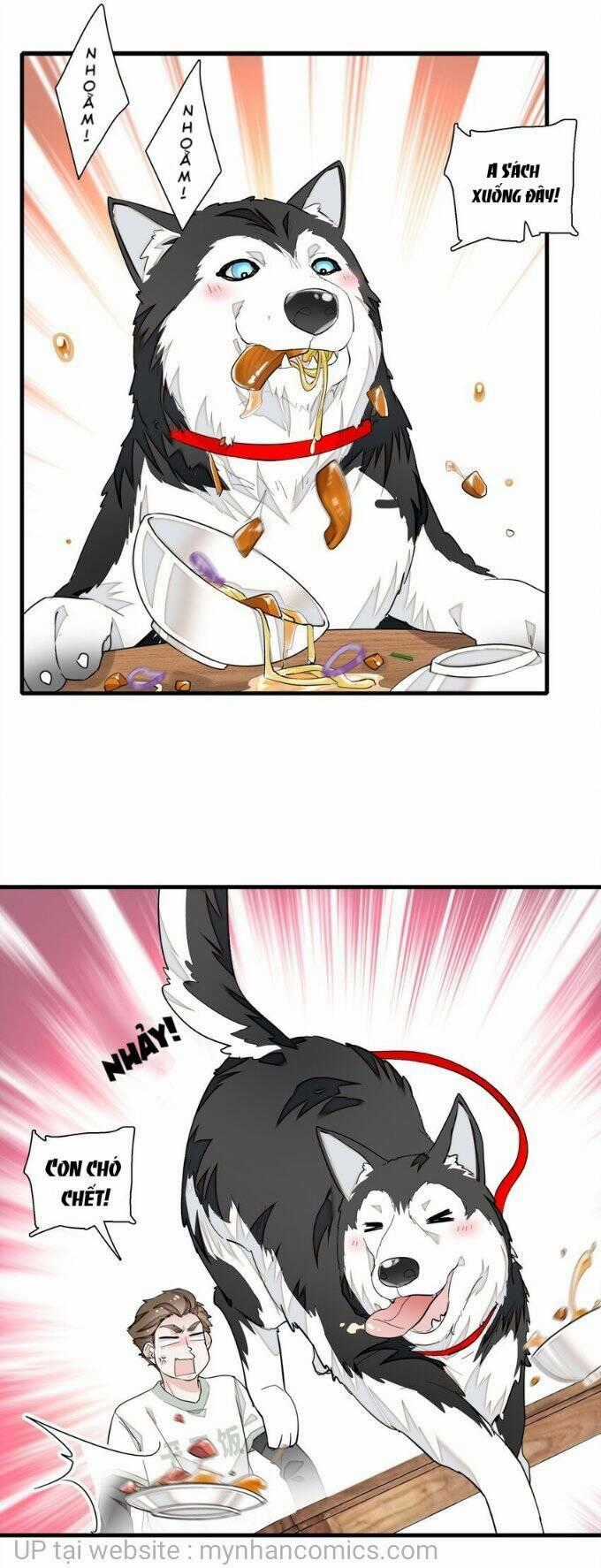 Long Phượng Phiên Chuyển Chapter 66 trang 1