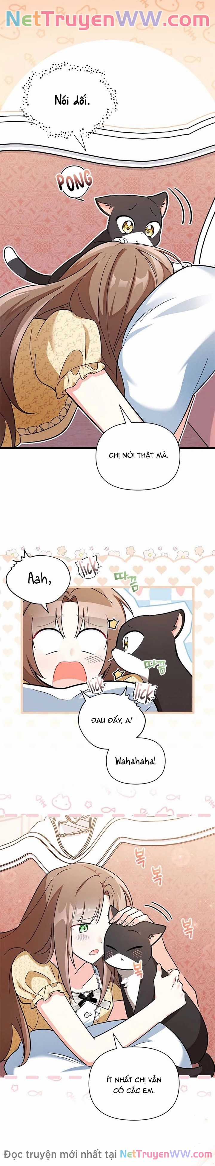 Lòng Tốt Của Tôi Được Đền Đáp Bằng Nỗi Ám Ảnh Chapter 19 trang 6