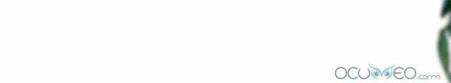 Lòng Trung Thành Với Kẻ Ác Chapter 1 trang 55