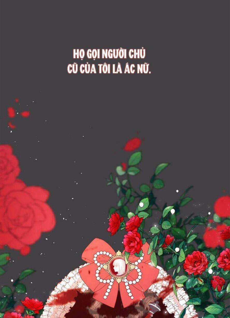 Lòng Trung Thành Với Kẻ Ác Chapter 15 trang 9