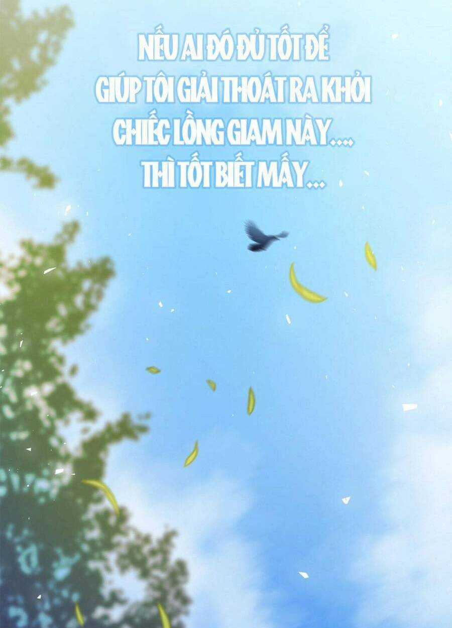 Lòng Trung Thành Với Kẻ Ác Chapter 2 trang 23