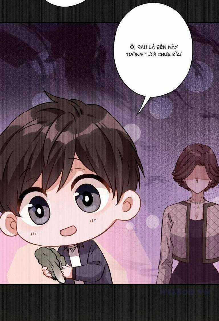 Long Vương Điện: Người Ở Rể Giàu Nhất Chương 2 trang 4