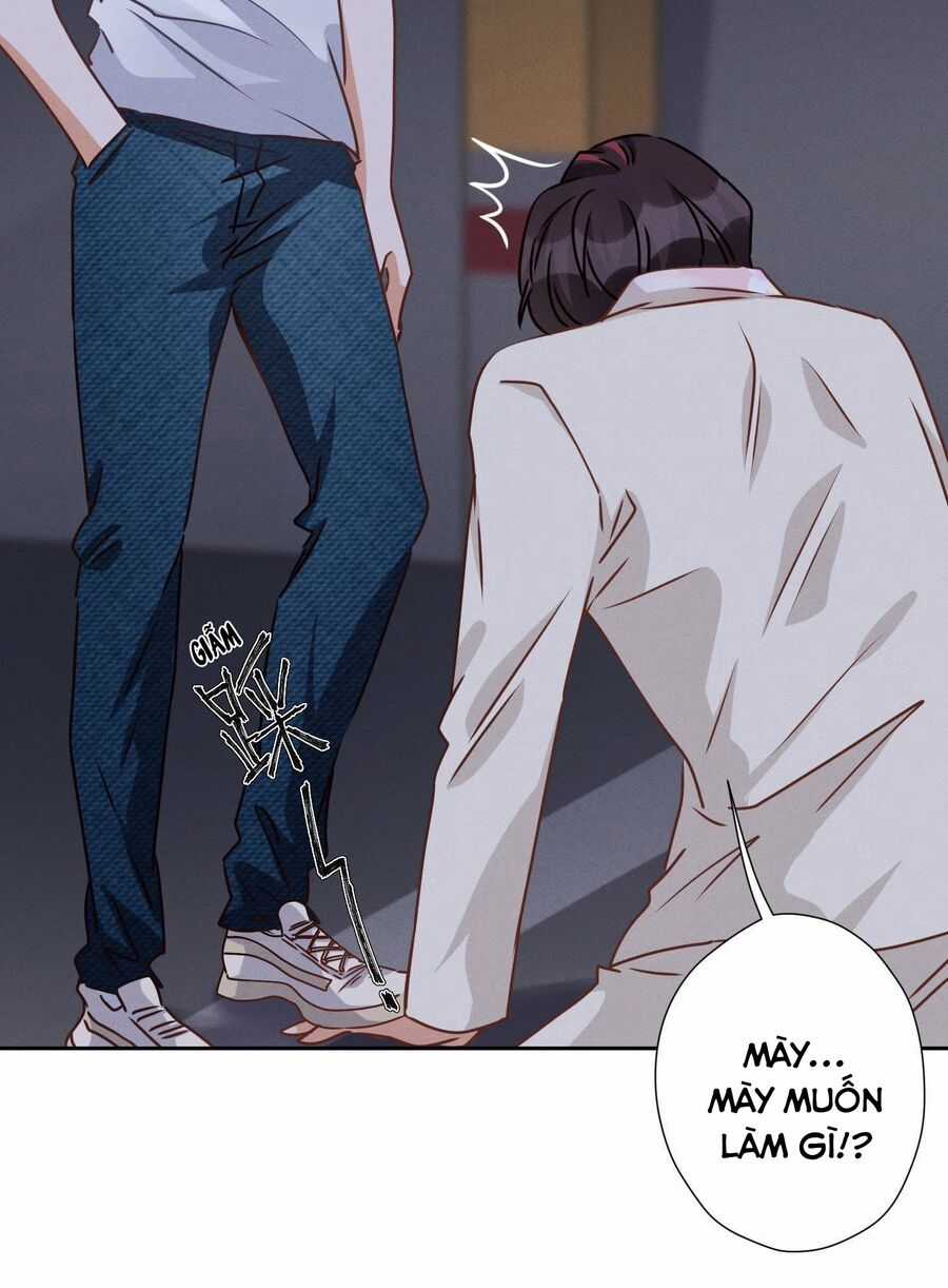 Long Vương Điện: Người Ở Rể Giàu Nhất Chương 29 trang 41