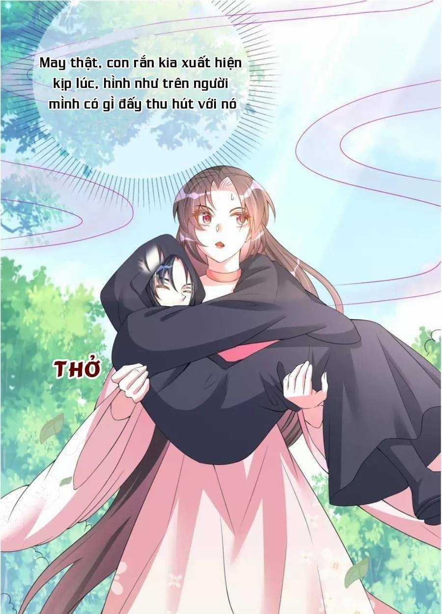 Long Vương Truy Thê Chapter 8 trang 48