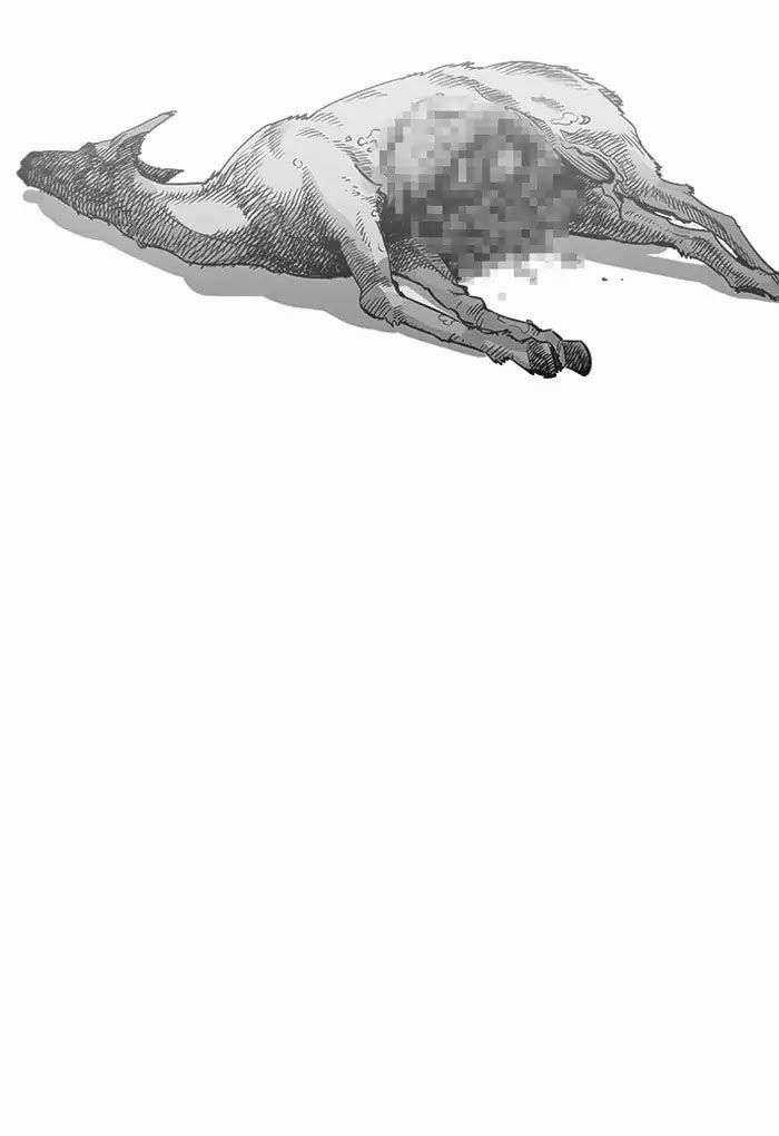 Lookism Chapter 202 trang 50