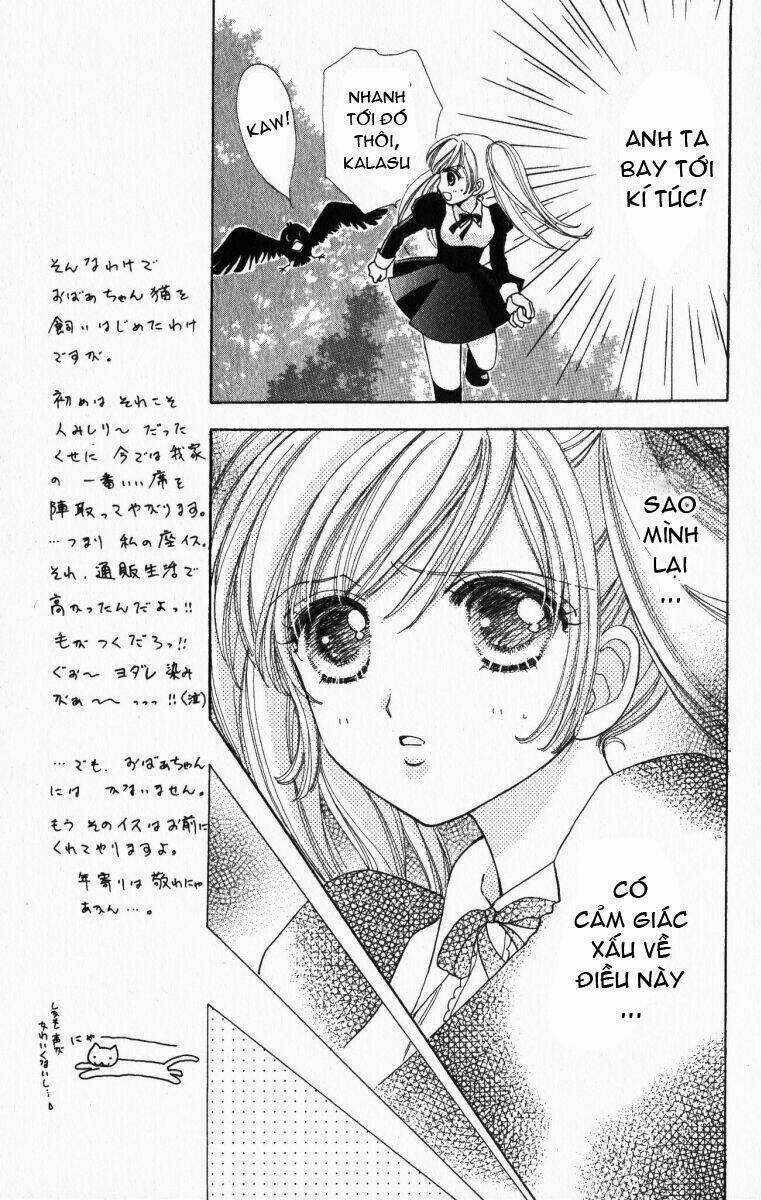 Love Monster Chapter 17 trang 4