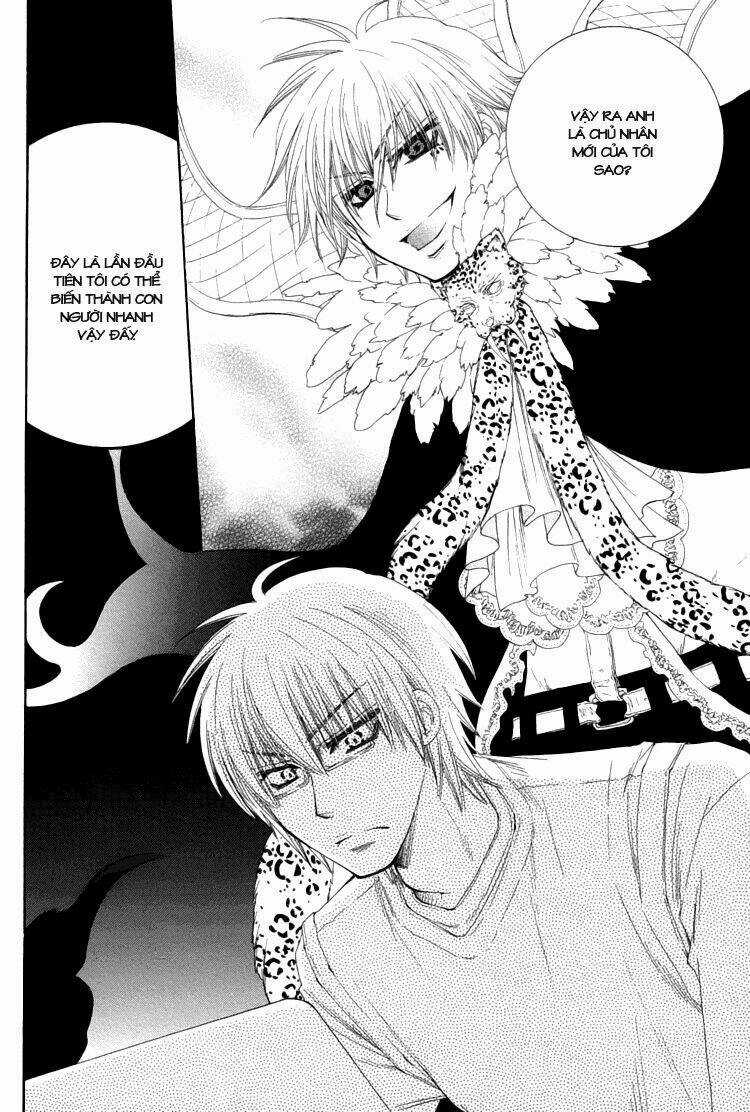 Lover S Doll Chapter 1 trang 11