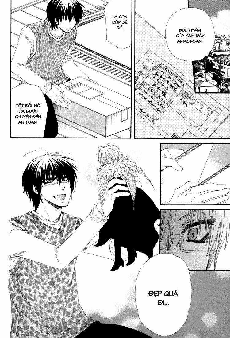 Lover S Doll Chapter 1 trang 9