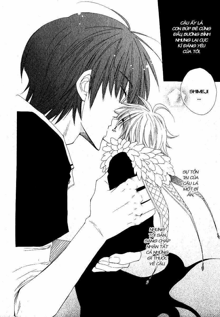 Lover S Doll Chapter 3 trang 32