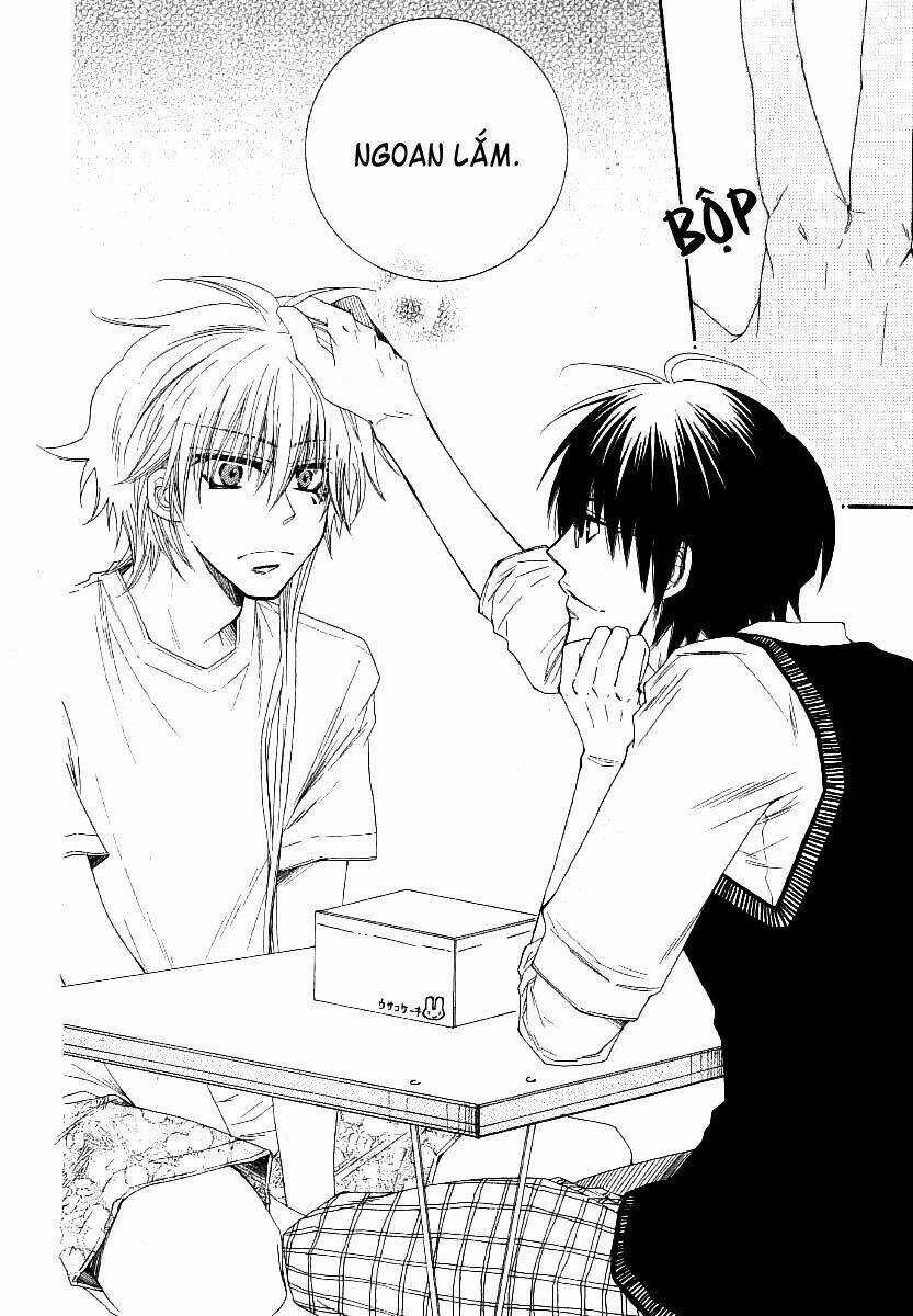 Lover S Doll Chapter 3 trang 6