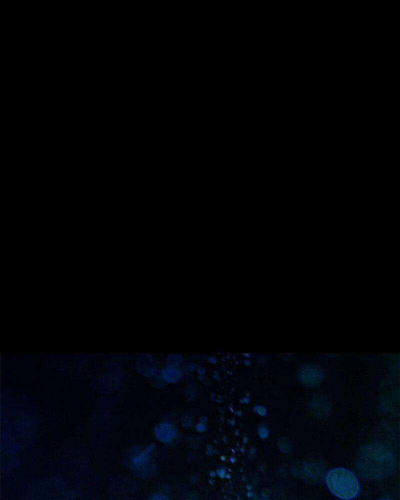 Luân Bàn Thế Giới Chapter 105 trang 48