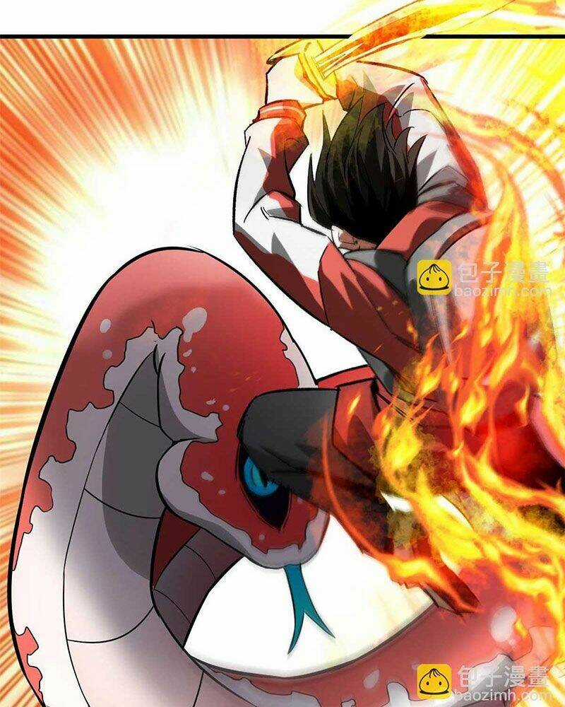 Luân Bàn Thế Giới Chapter 119 trang 47