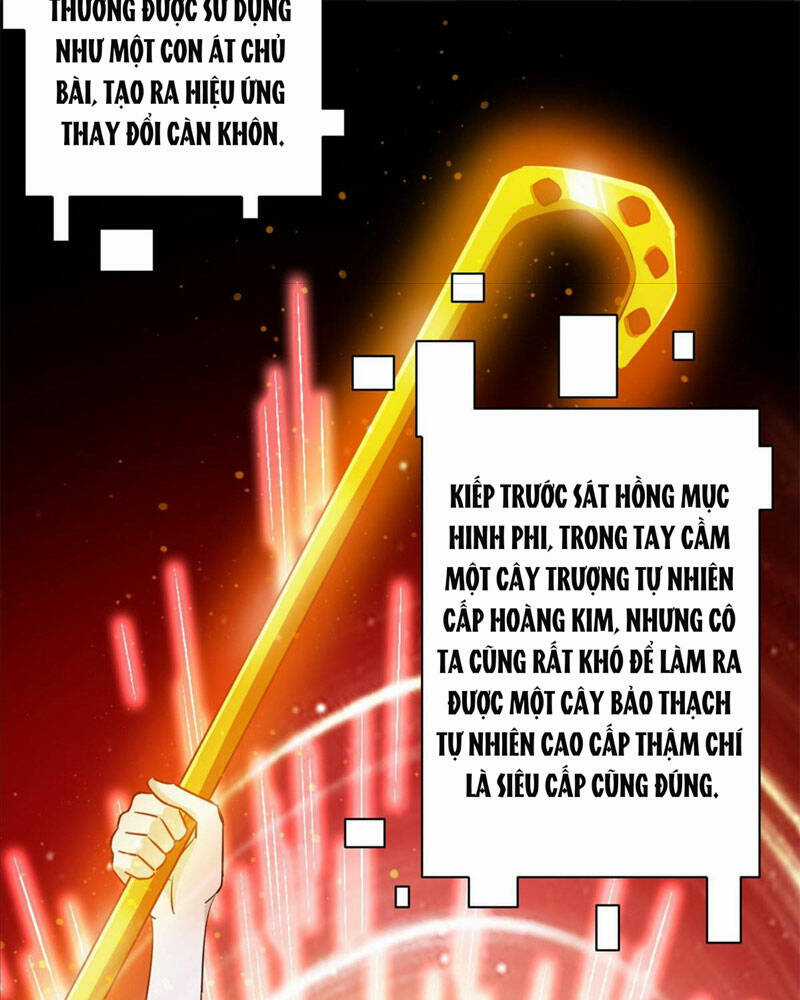 Luân Bàn Thế Giới Chapter 128 trang 52