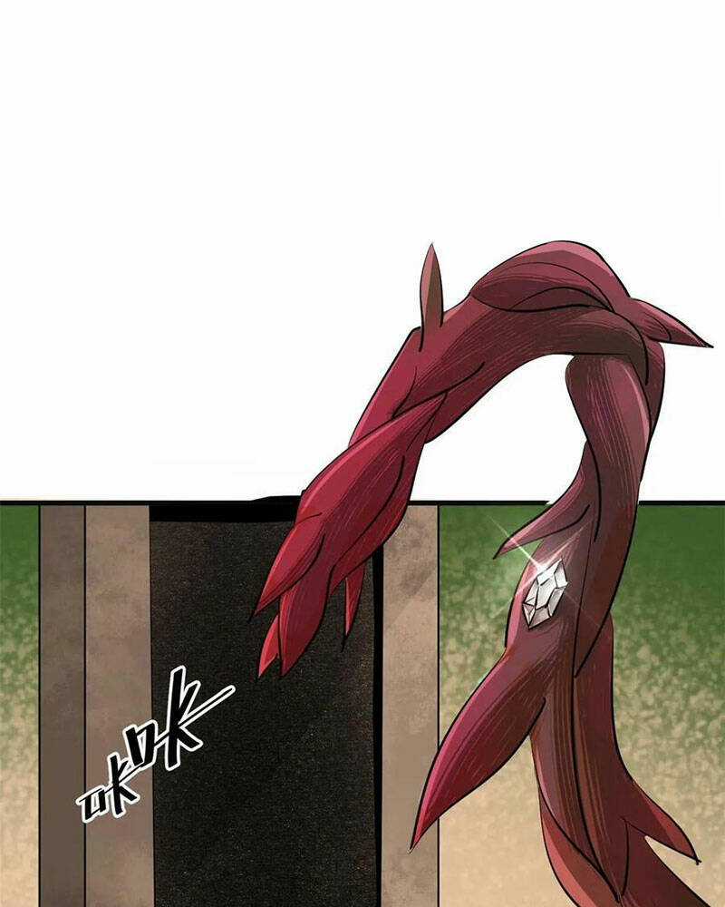 Luân Bàn Thế Giới Chapter 129 trang 37